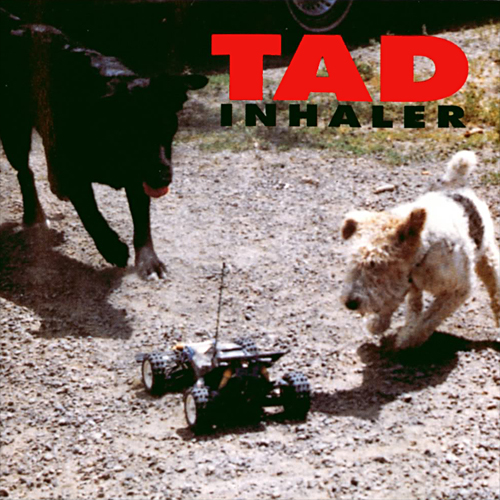 TAD, Inhaler